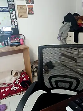 Snapshot of DaniPoison chatting on 12, 3, 2026 DaniPoison online show from 12, 3, 2026