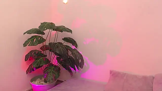 wet valery online show from 18, 4, 2026