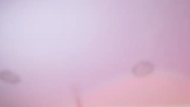 wet valery online show from 18, 2, 2026