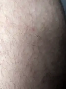 hFreemiEdwaR online show from 28, 4, 2026