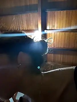 Sexi girl29 online show from 1, 11, 2025