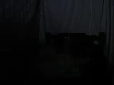 SHARONYJQVI online show from 22, 3, 2025