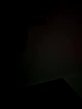 Snapshot of Foxdaguy chatting on 1, 11, 2025 Foxdaguy online show from 1, 11, 2025