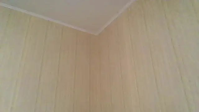  Black-Panther  online show from 13, 11, 2025