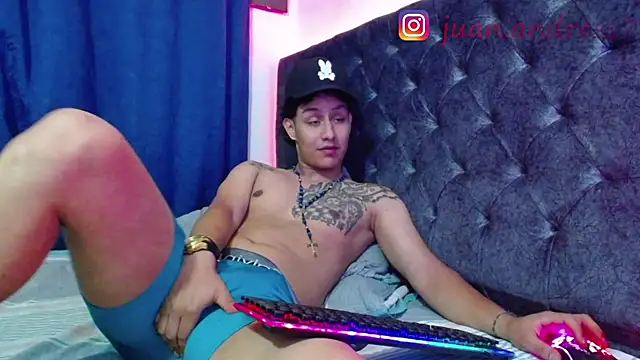 Stone grey1  online show from 25, 2, 2026