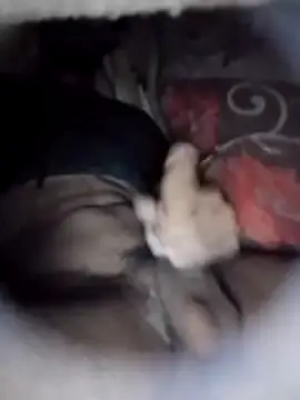 Ayush pussy fucker online show from 5, 3, 2026