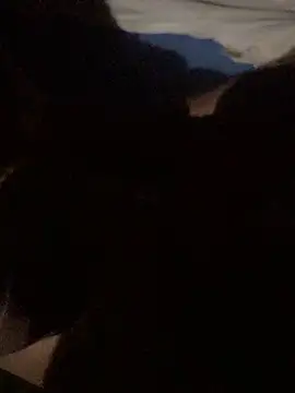 Andreizinho34 online show from 17, 1, 2026