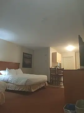 nordekin online show from 9, 1, 2026