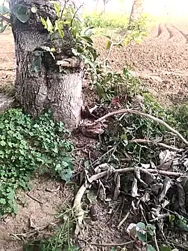 JAZZYS8 online show from 16, 10, 2025