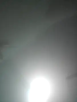 royall queen online show from 6, 1, 2026