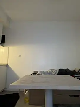 Renoirmonter online show from 26, 3, 2026