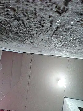 membro destruidor online show from 31, 3, 2026