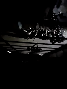 John96999 online show from 7, 6, 2026