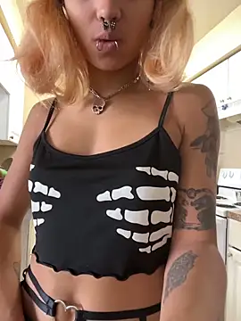 Harley cams online show from 29, 10, 2025