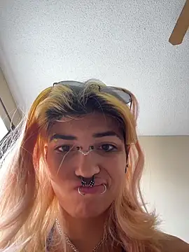 Harley cams online show from 30, 10, 2025