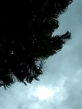 emiliemilf online show from 9, 10, 2025