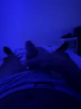 MoroccanDickkkkkk online show from 8, 10, 2025