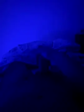 MoroccanDickkkkkk online show from 26, 11, 2025