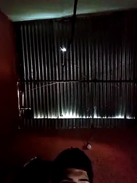 317894 online show from 12, 11, 2025