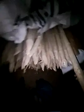 hot integer online show from 7, 3, 2026