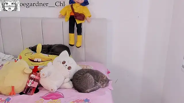 chloee gardner online show from 22, 10, 2025