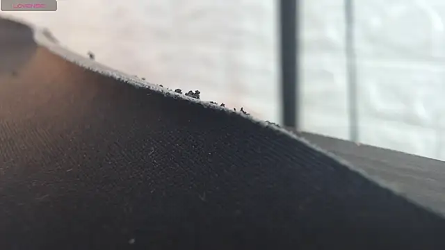 nei girl online show from 30, 11, 2025