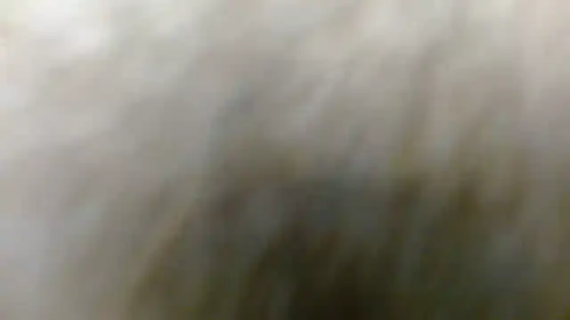 Allyson Mature online show from 5, 1, 2026