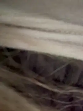 bambi lu online show from 18, 3, 2026