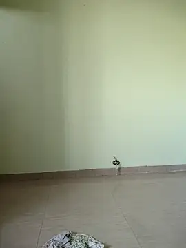 Desi Bhabi 01 online show from 17, 11, 2025