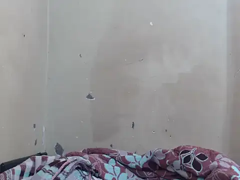 Anialovie online show from 2, 3, 2026