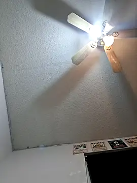 moasslicker online show from 26, 11, 2025