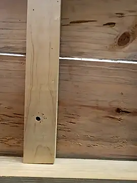 elnegro707070 online show from 16, 10, 2025