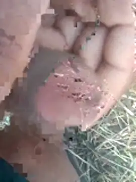 Snapshot of perplexedsoul chatting on 1, 12, 2025 perplexedsoul online show from 1, 12, 2025