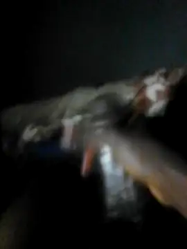 mydickbedarkandthick online show from 23, 11, 2025