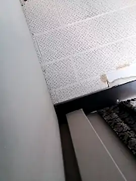 mydickbedarkandthick online show from 29, 4, 2026