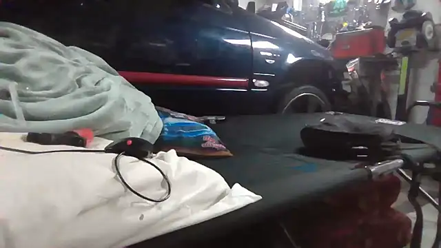 Lovyourpuss online show from 15, 2, 2026