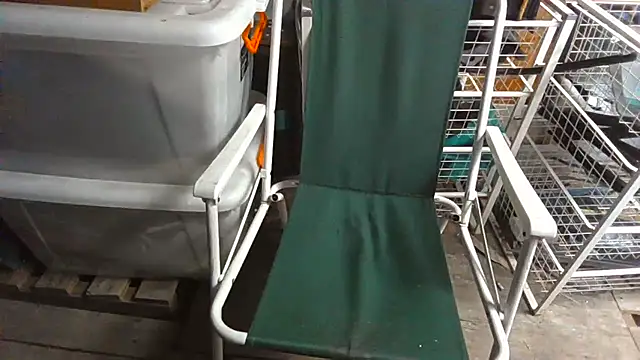 Lovyourpuss online show from 19, 2, 2026