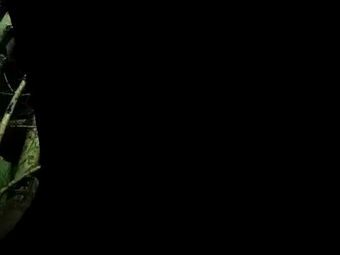 ConfidedAward online show from 13, 9, 2025