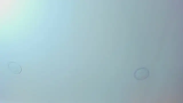 Antonella west online show from 12, 3, 2026