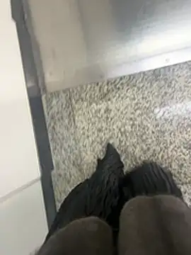 xiaoyuan01 online show from 6, 2, 2026