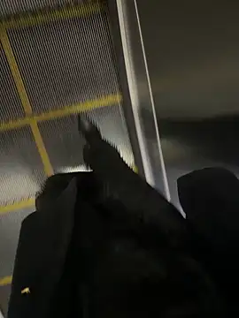 xiaoyuan01 online show from 31, 10, 2025