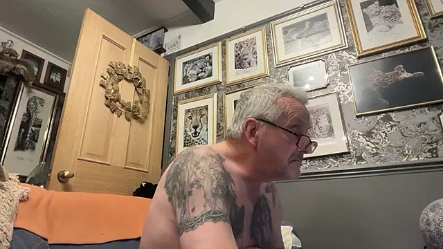 poggles online show from 1, 3, 2026