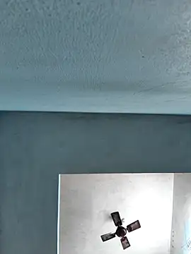 Tamil riyalini12 online show from 13, 12, 2025