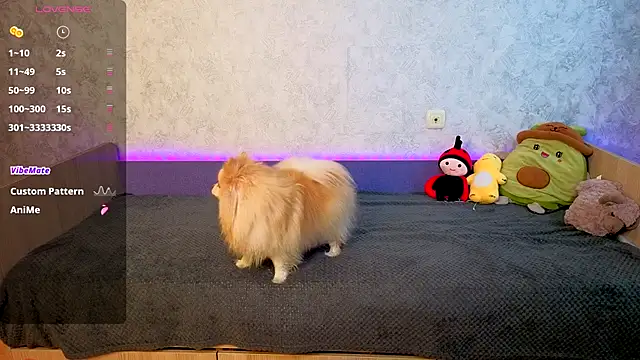 Mini Lady1 online show from 1, 11, 2025