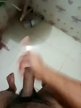 zim200 online show from 27, 3, 2026