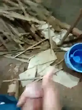 zim200 online show from 20, 11, 2025