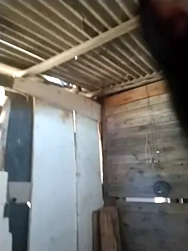 srtsara online show from 18, 4, 2026