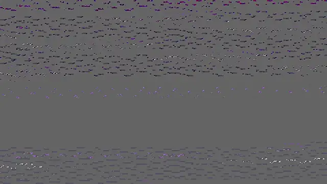 honeybeetest online show from 12, 3, 2026