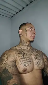 David tatto1 online show from 21, 6, 2026