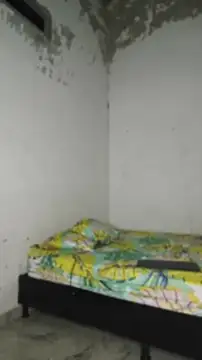 David tatto1 online show from 27, 3, 2026